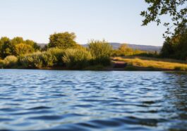 Möhnesee Südseite: weniger besucht und perfekt für ruhige Tage
